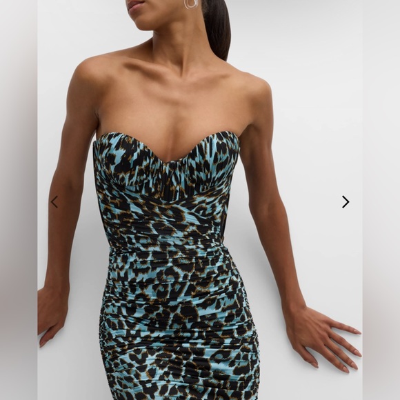 Axton Leopard-Print Ruched Strapless Bustier - Picture 4 of 10